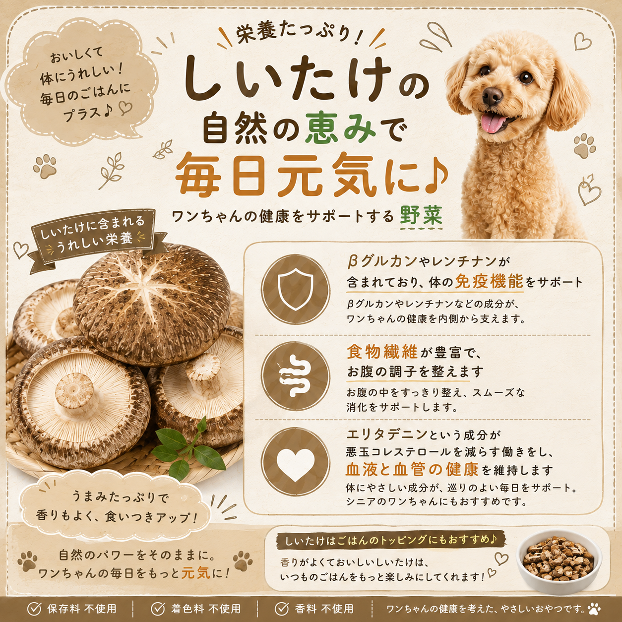 オサカナバンチョー（魚と野菜）
