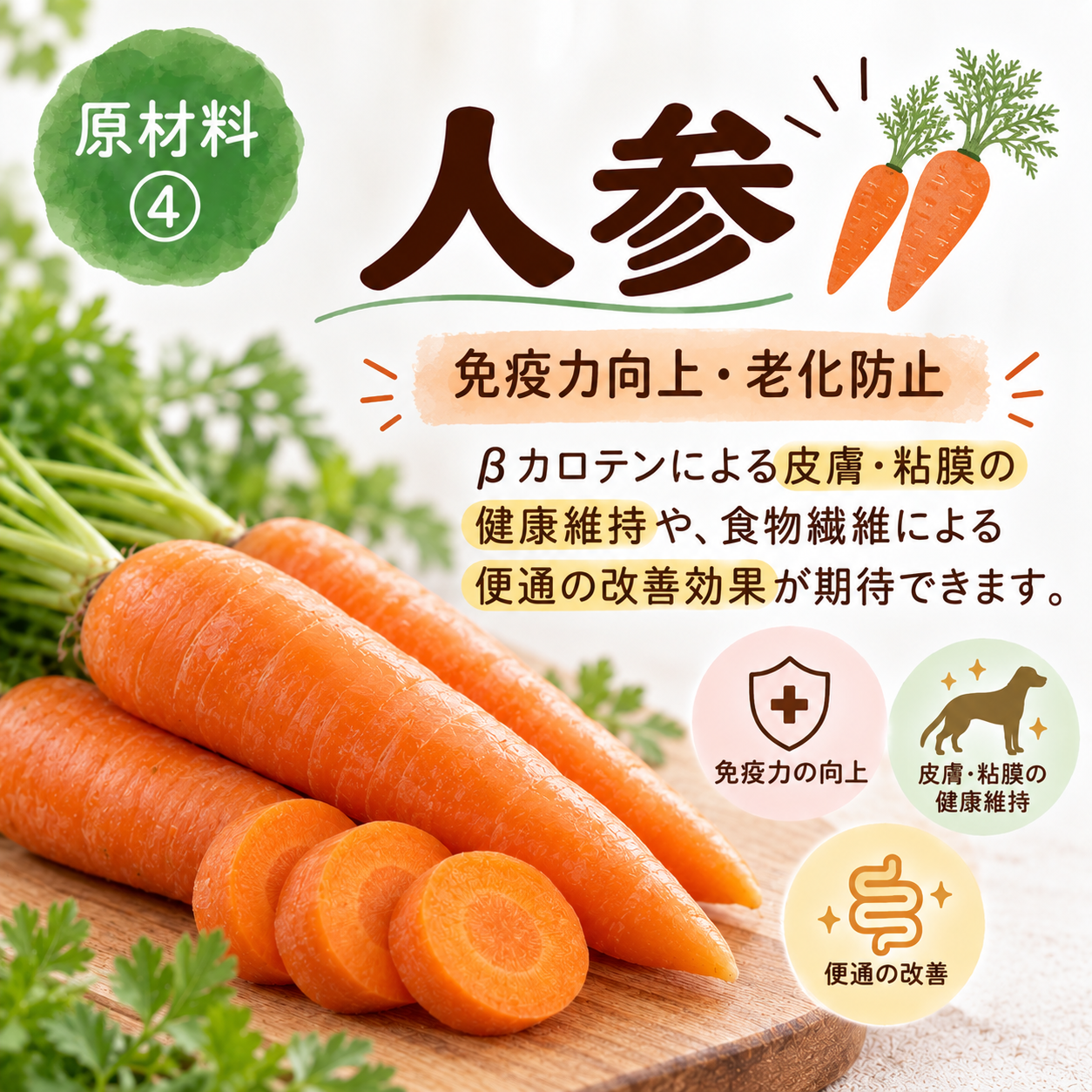 チキンと低リン100ｇ