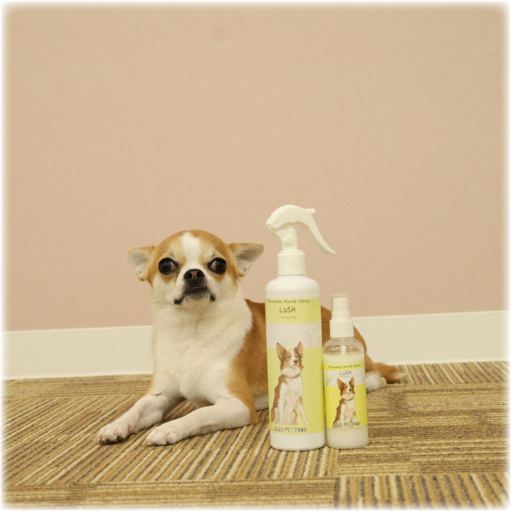 【虫除けスプレー】ラ・シュシュ100ml