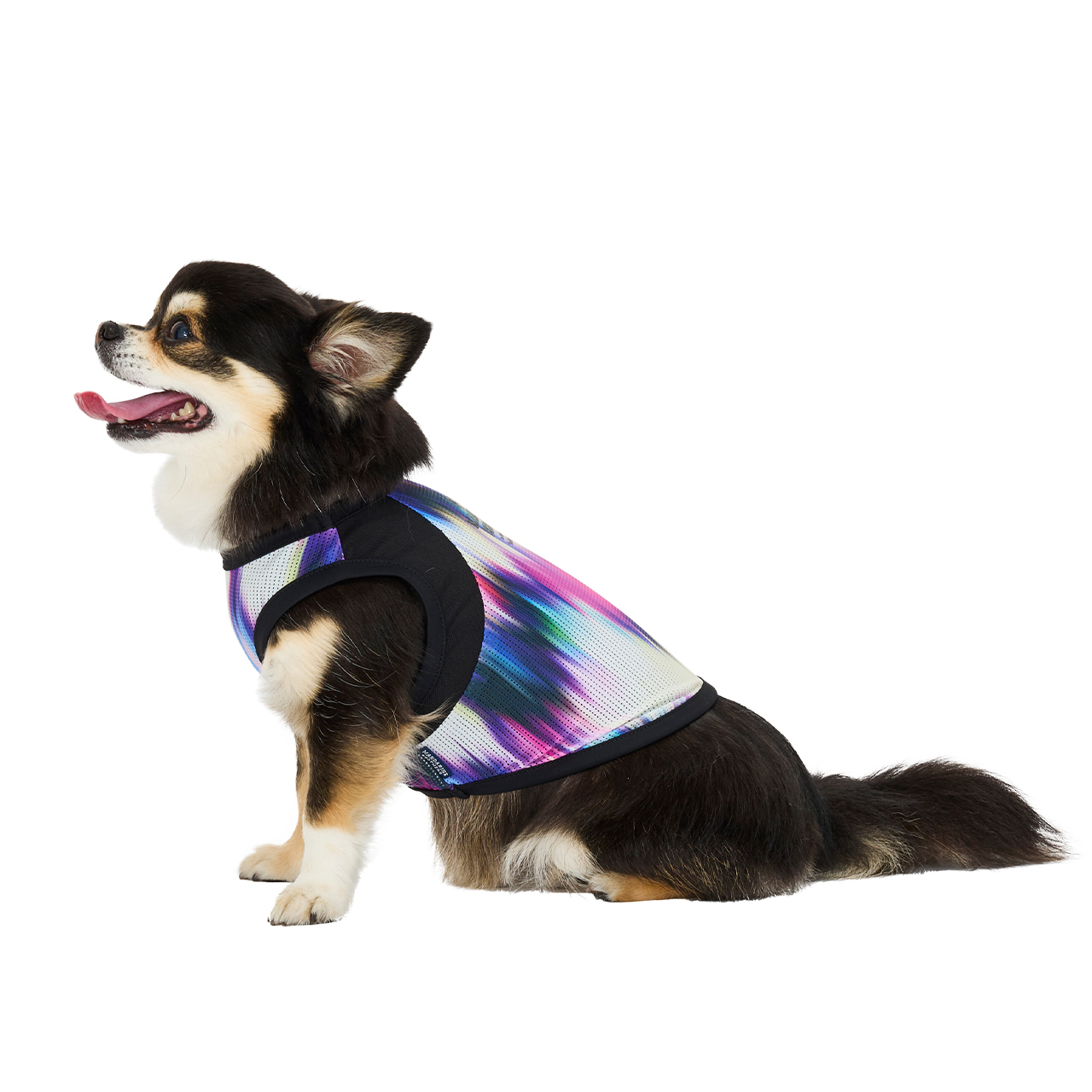 クールオーロラタンク