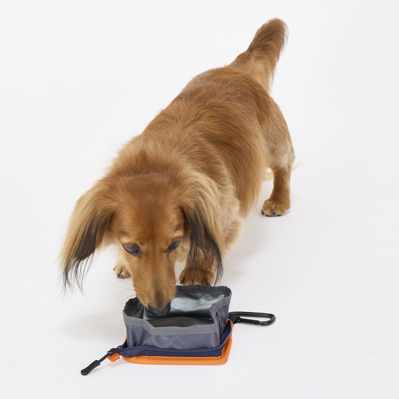 さんかくボウル カラー（さんかくボウル）: BLACK（ブラック）