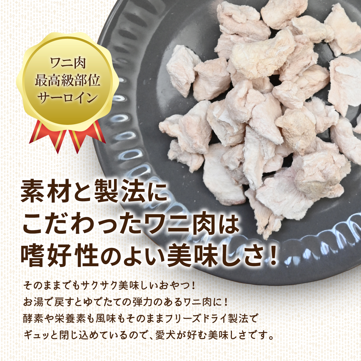 【100ｇ入り】ドライなワニ子さん