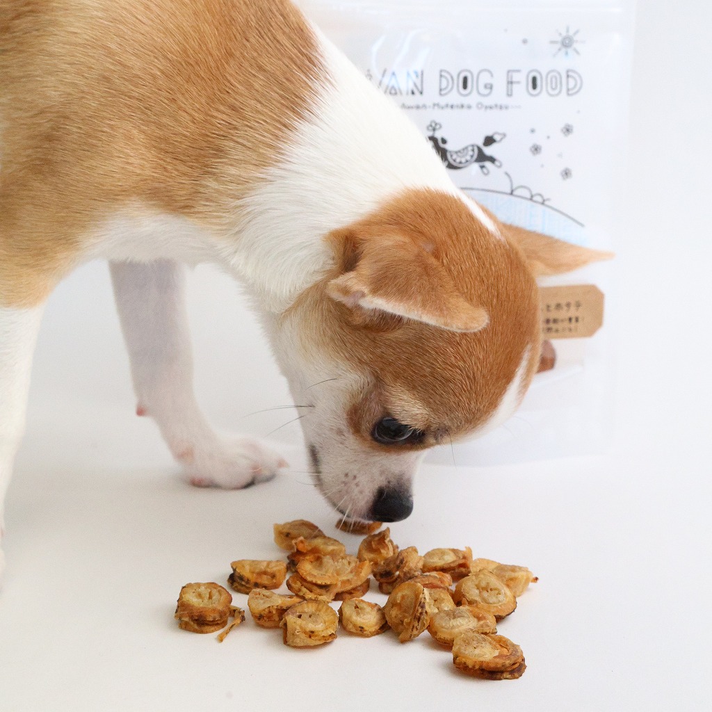 【大容量】まるっとホタテジャーキー300ｇ