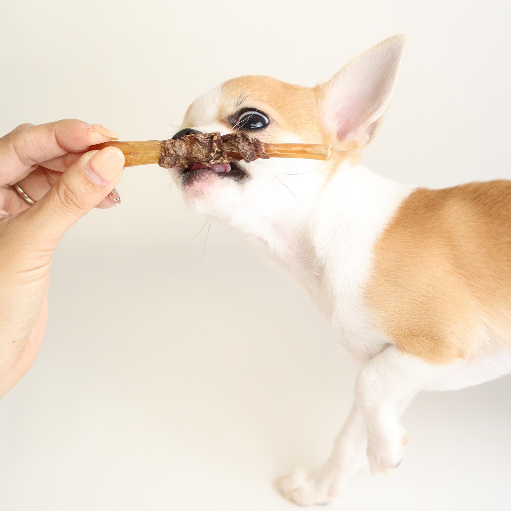 【大容量】馬肉に包まれた背筋くん 500ｇ