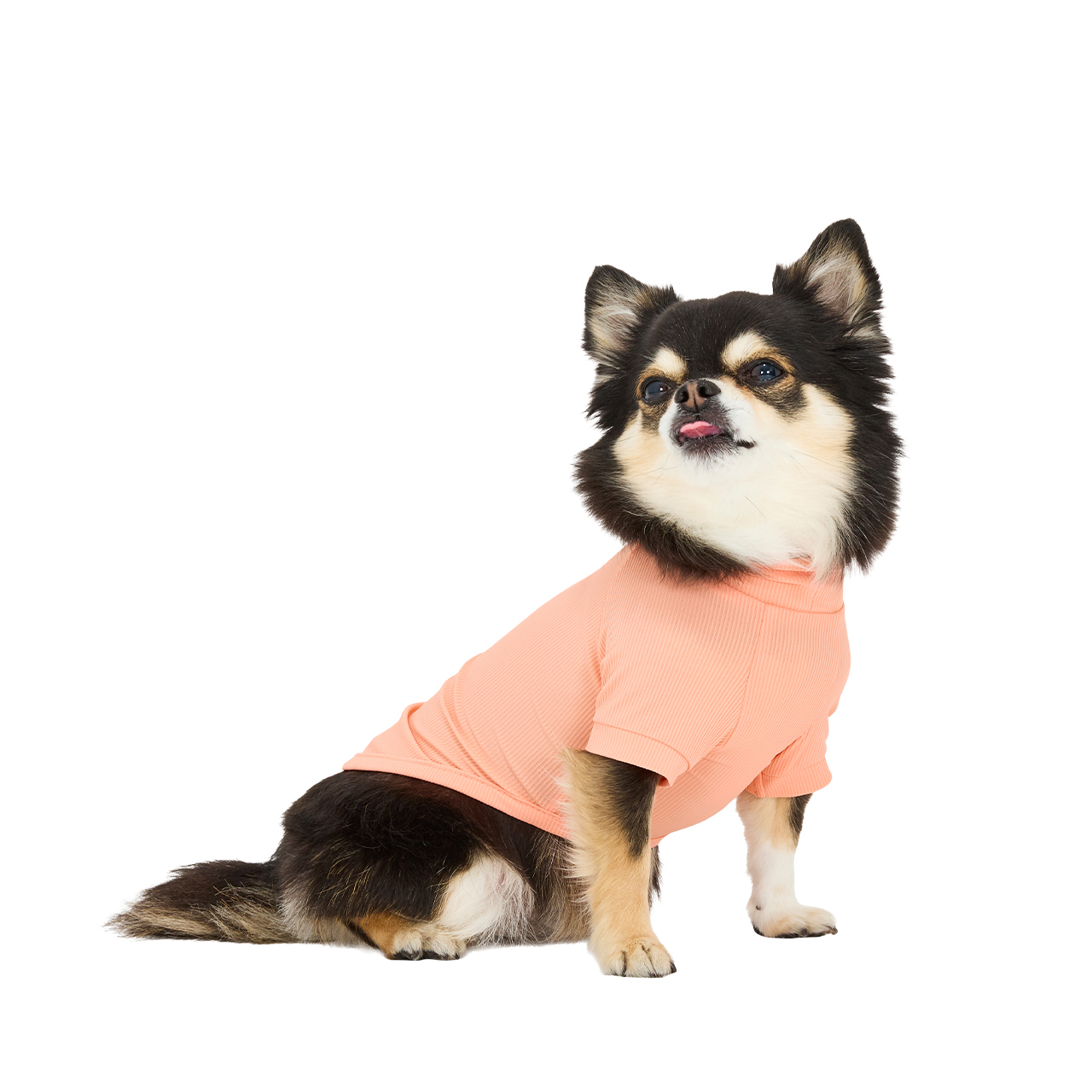 インセクトシールドスキンタイトクールTシャツ