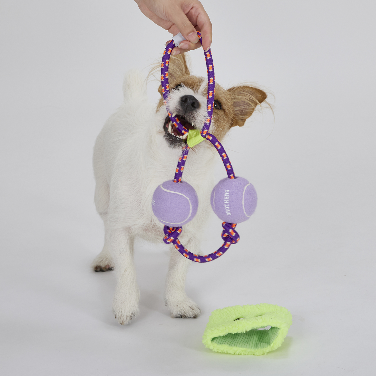 パリパリブースター カラー: RED（レッド）