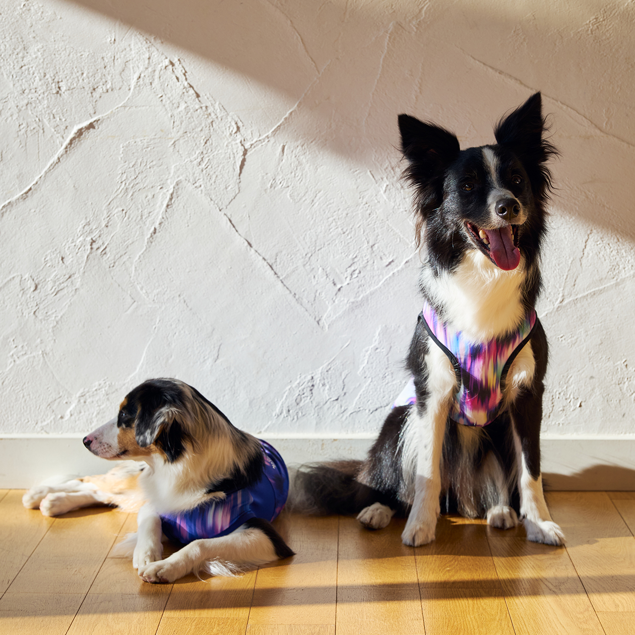 クールオーロラタンク