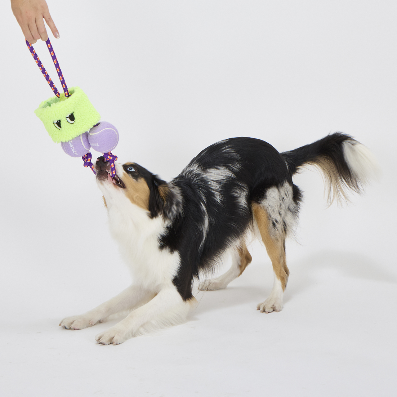 パリパリブースター カラー: RED（レッド）