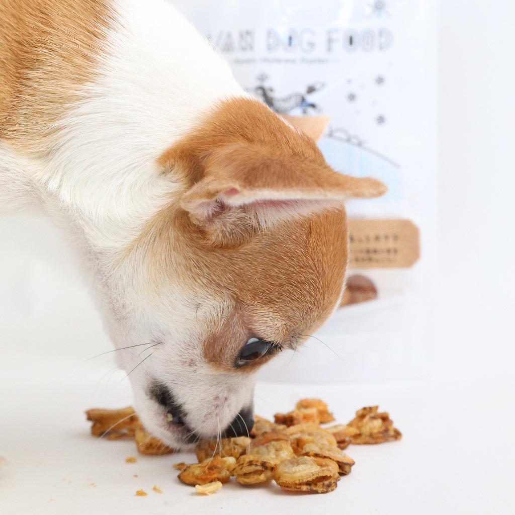 【大容量】まるっとホタテジャーキー 1kg