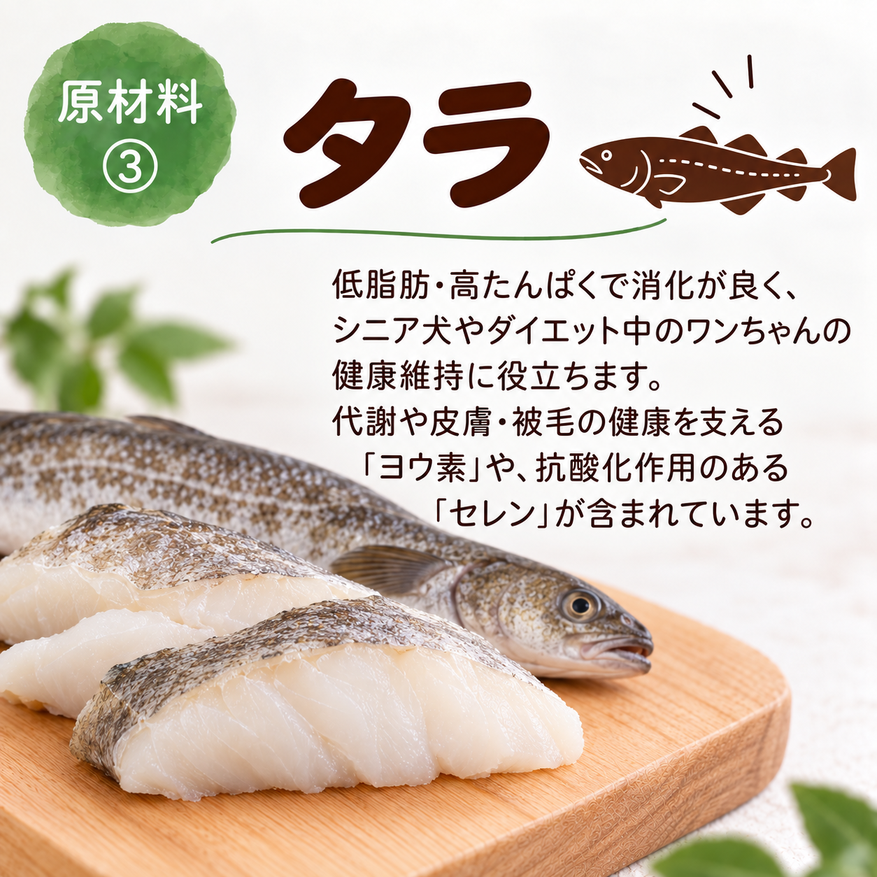 タラっと低リン