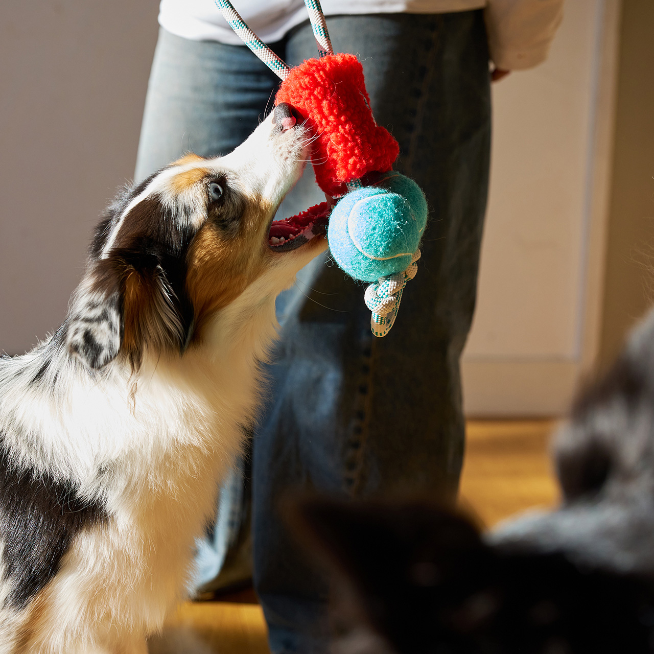 パリパリブースター カラー: RED（レッド）