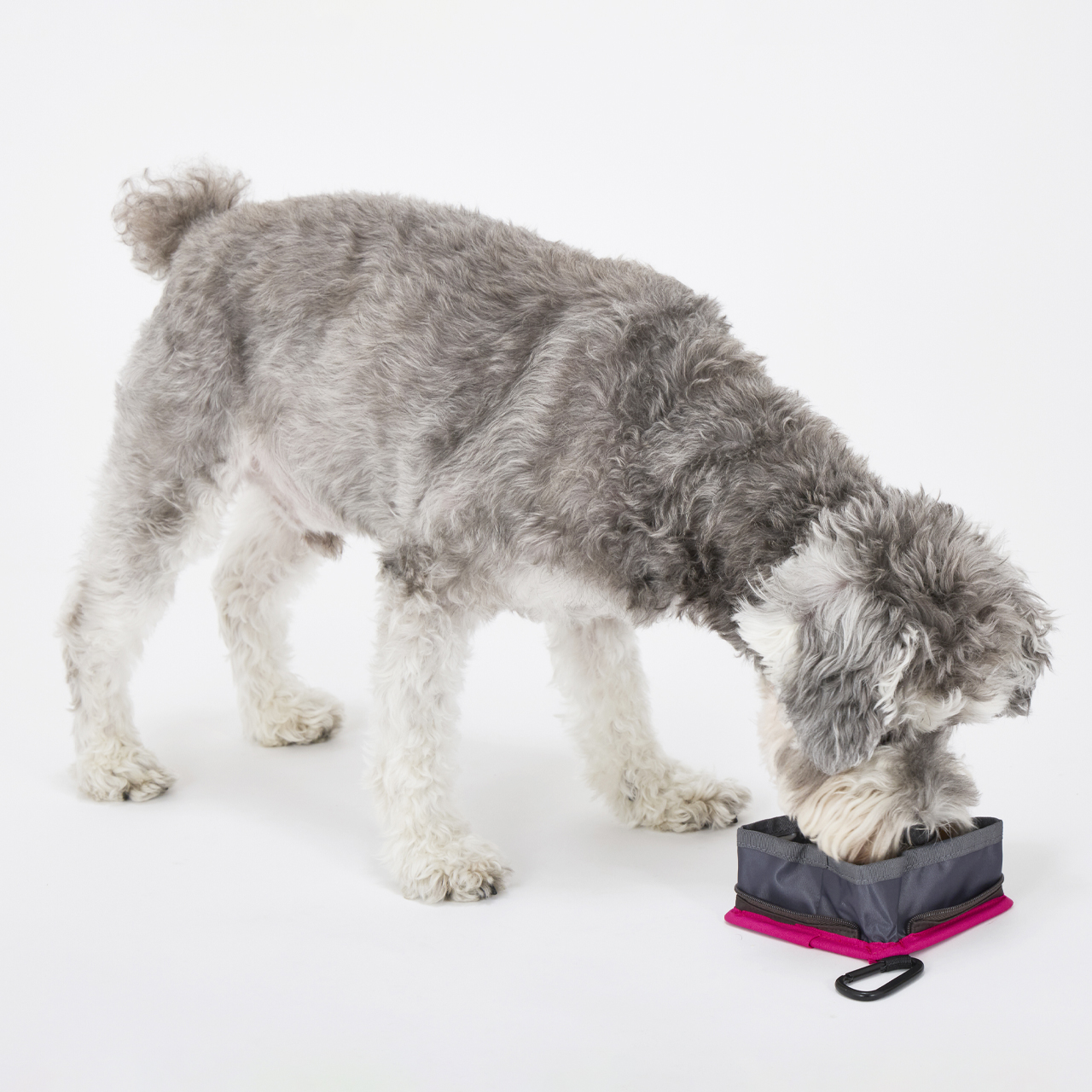 さんかくボウル カラー（さんかくボウル）: BLACK（ブラック）