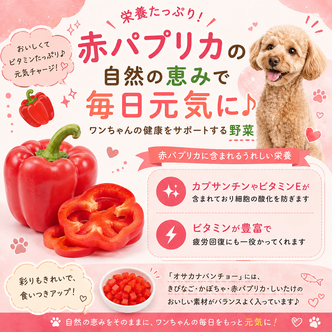 オサカナバンチョー（魚と野菜）
