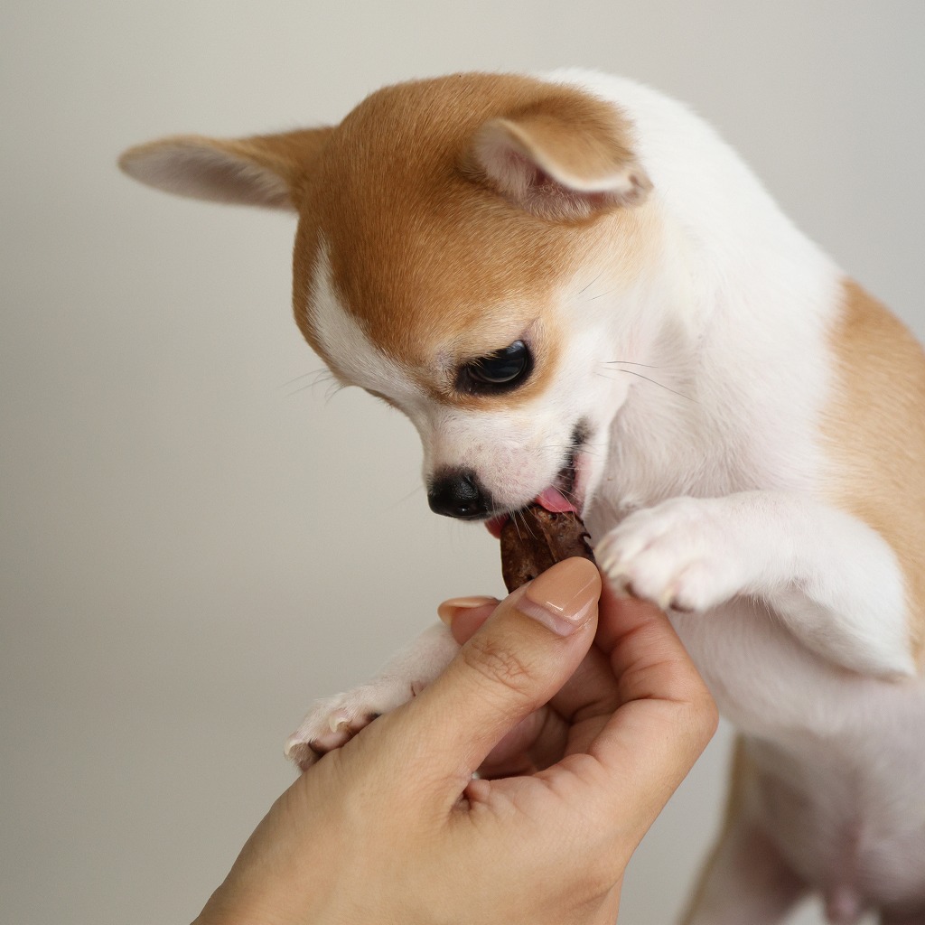 【大容量】馬肺コロコロ300ｇ