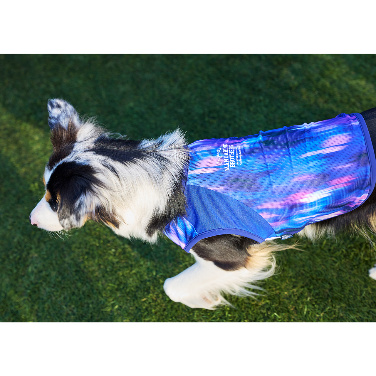 クールオーロラタンク