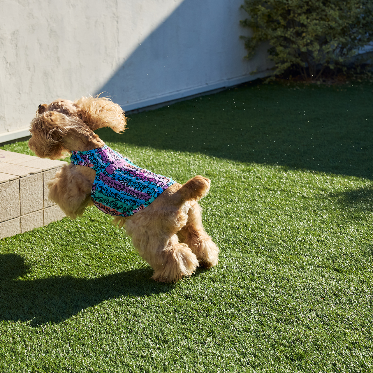 CCL　クーリングタンク サイズ: Ｓ, カラー（ＣＣＬ）: タングルド