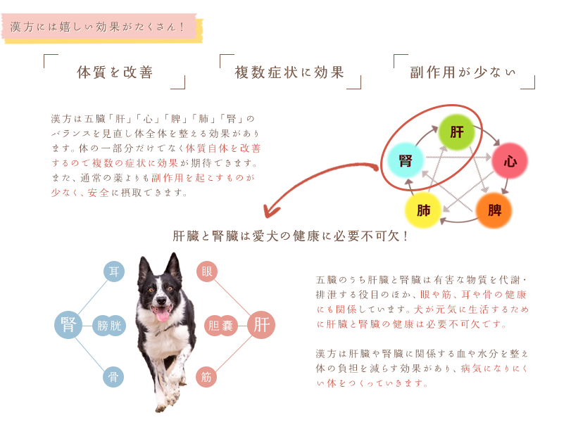 【漢方】馬肉ドッグフード800ｇ