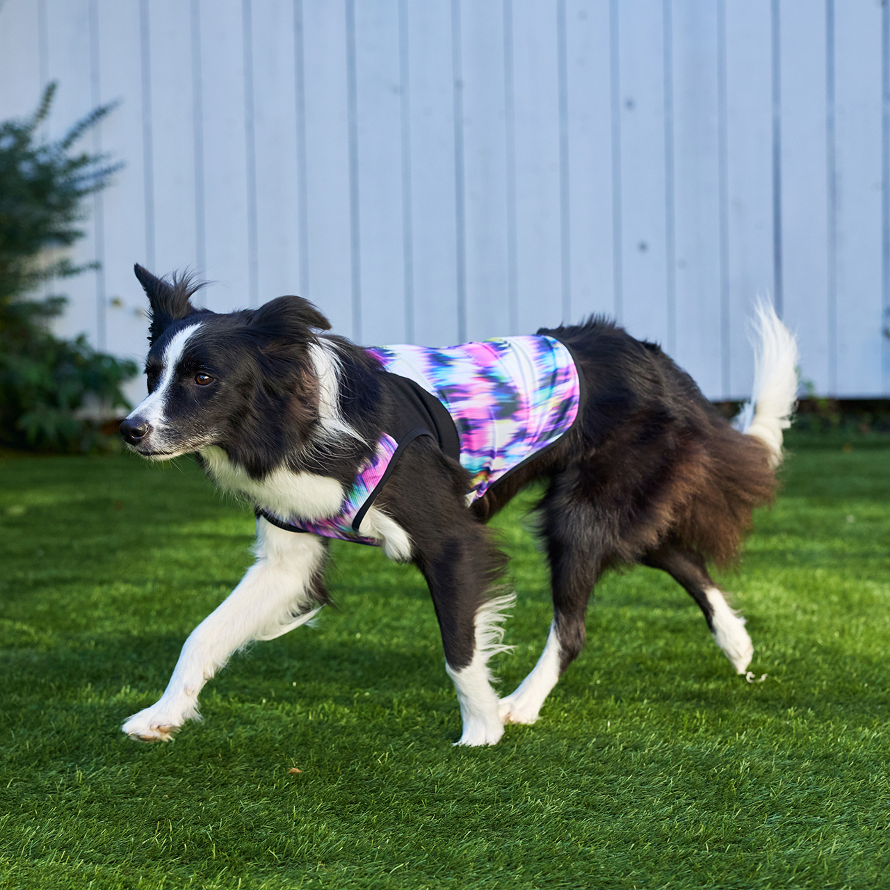 クールオーロラタンク