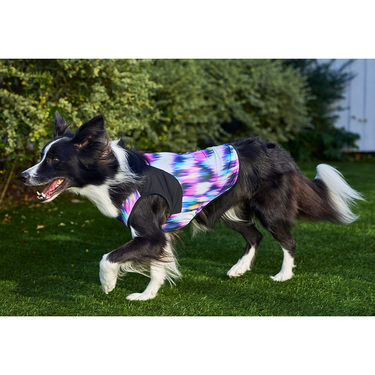 クールオーロラタンク