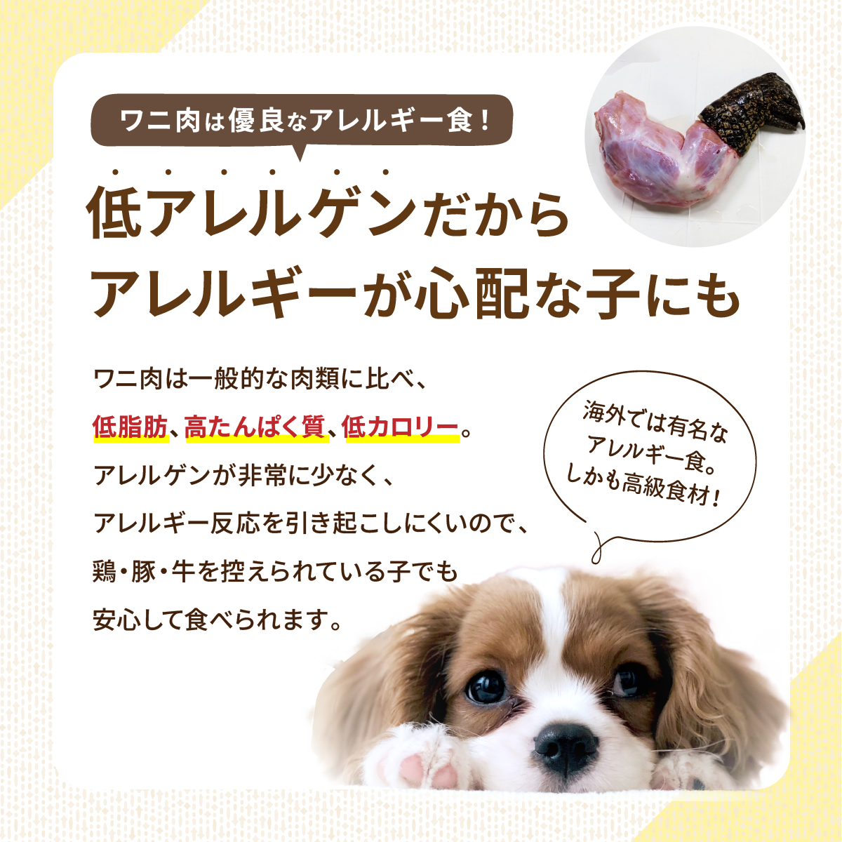 【100ｇ入り】ドライなワニ子さん