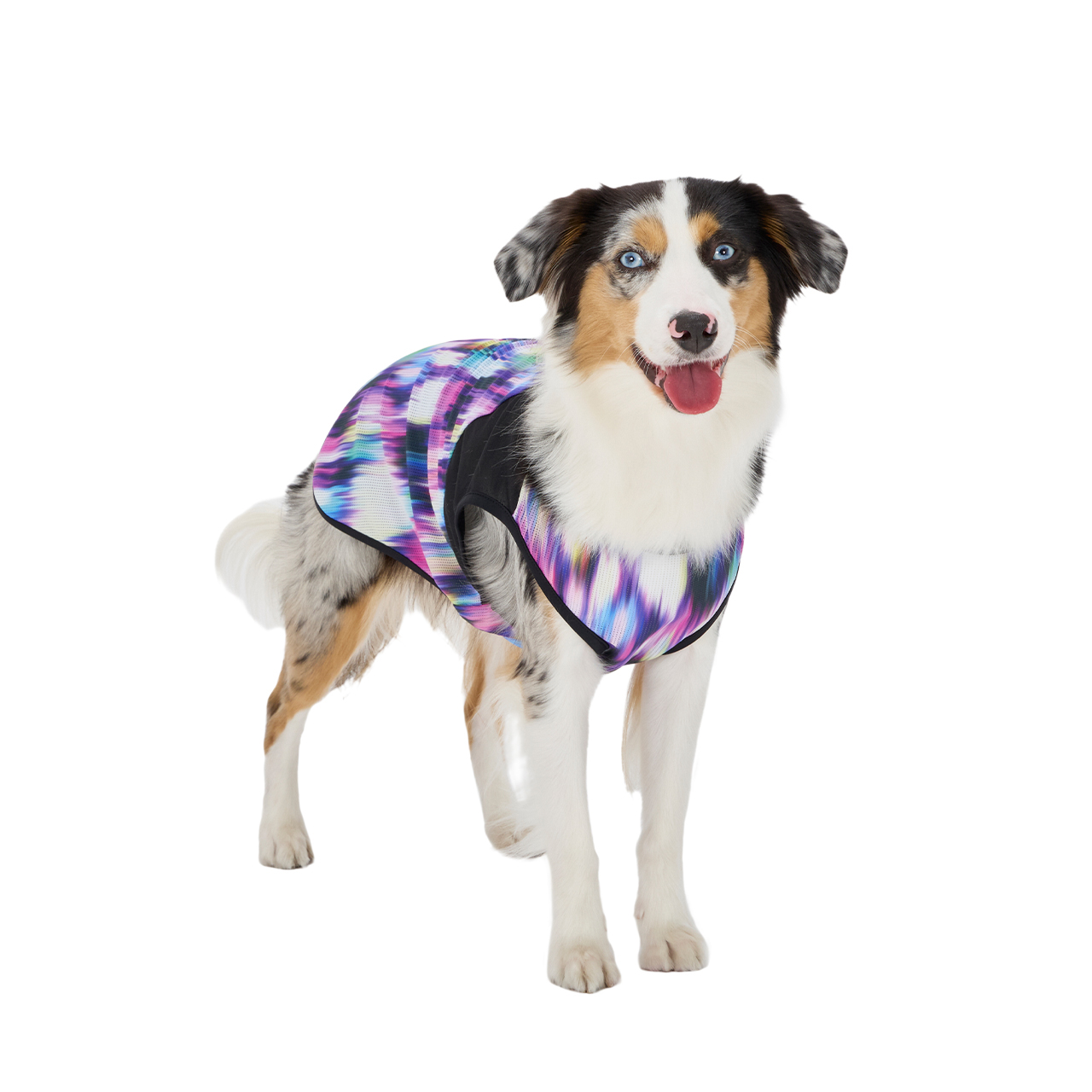 クールオーロラタンク