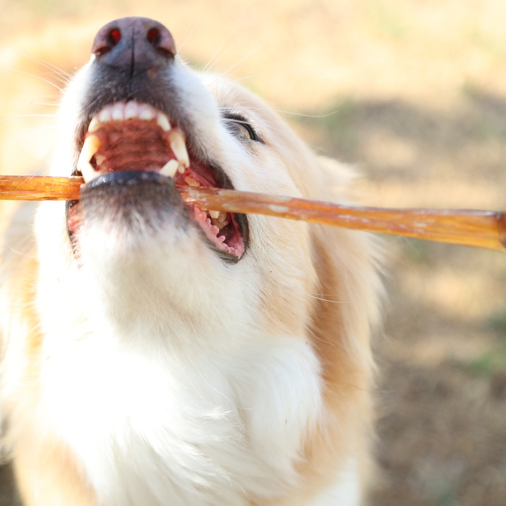 【先着5セット限定！】＼馬のアキレスロング1kg×3セット／初売りSALE特別価格