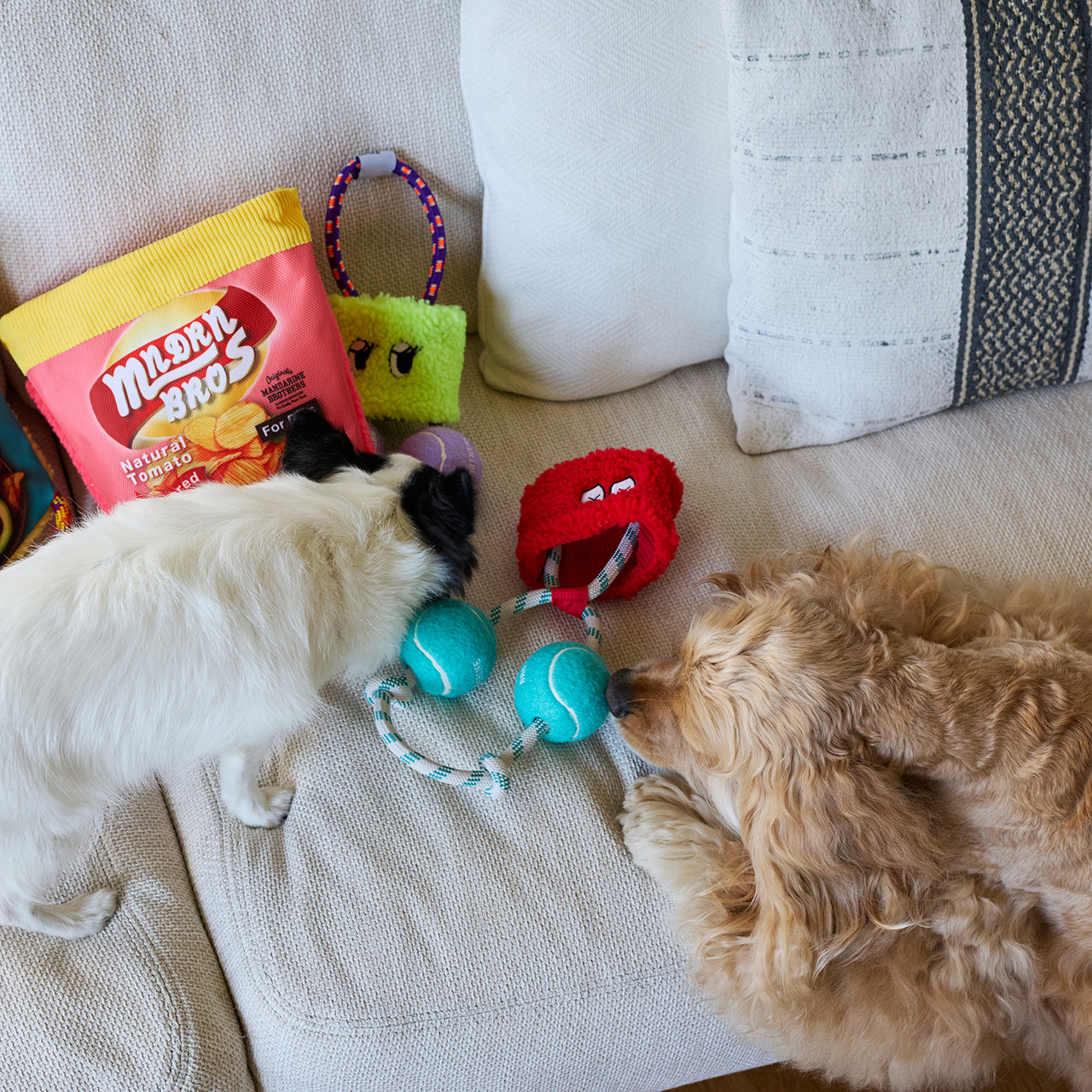 パリパリブースター カラー: RED（レッド）