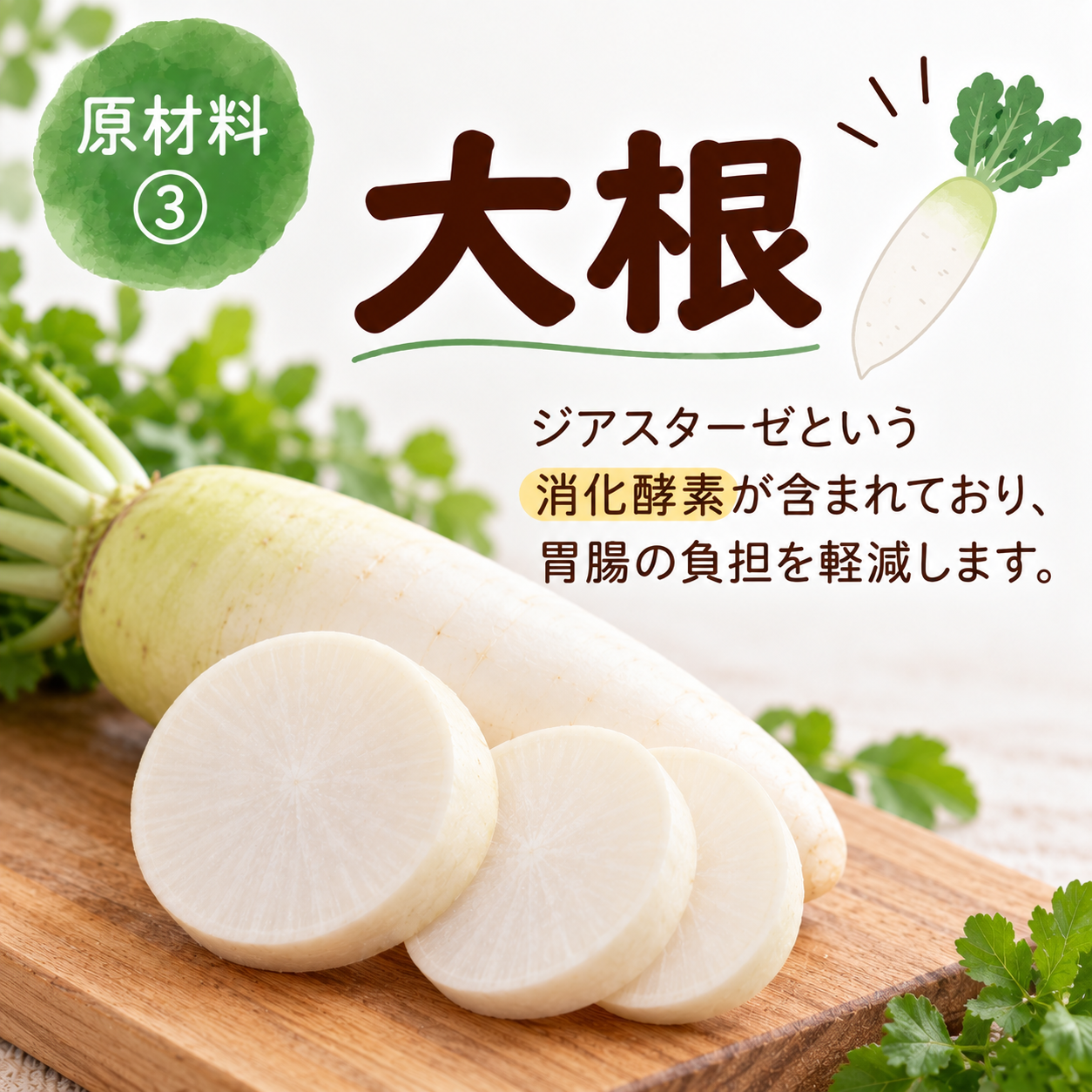 チキンと低リン100ｇ
