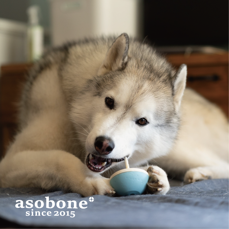 アソボーン カラーは: さくら, キャップの硬さ: ソフト