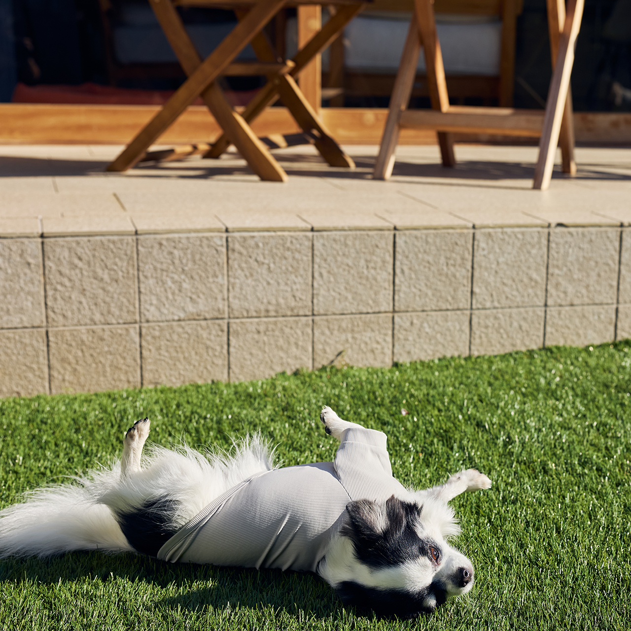 インセクトシールドスキンタイトクールTシャツ