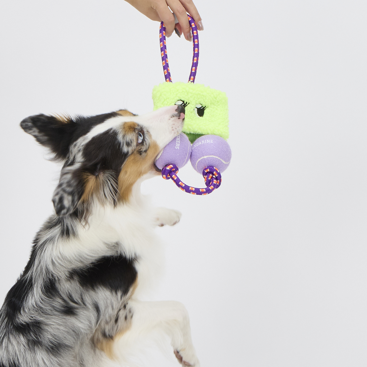 パリパリブースター カラー: RED（レッド）