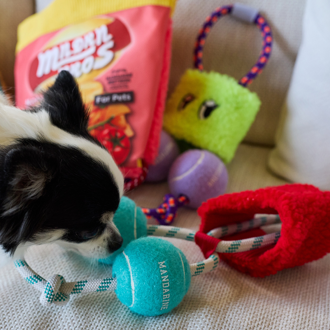 パリパリブースター カラー: RED（レッド）