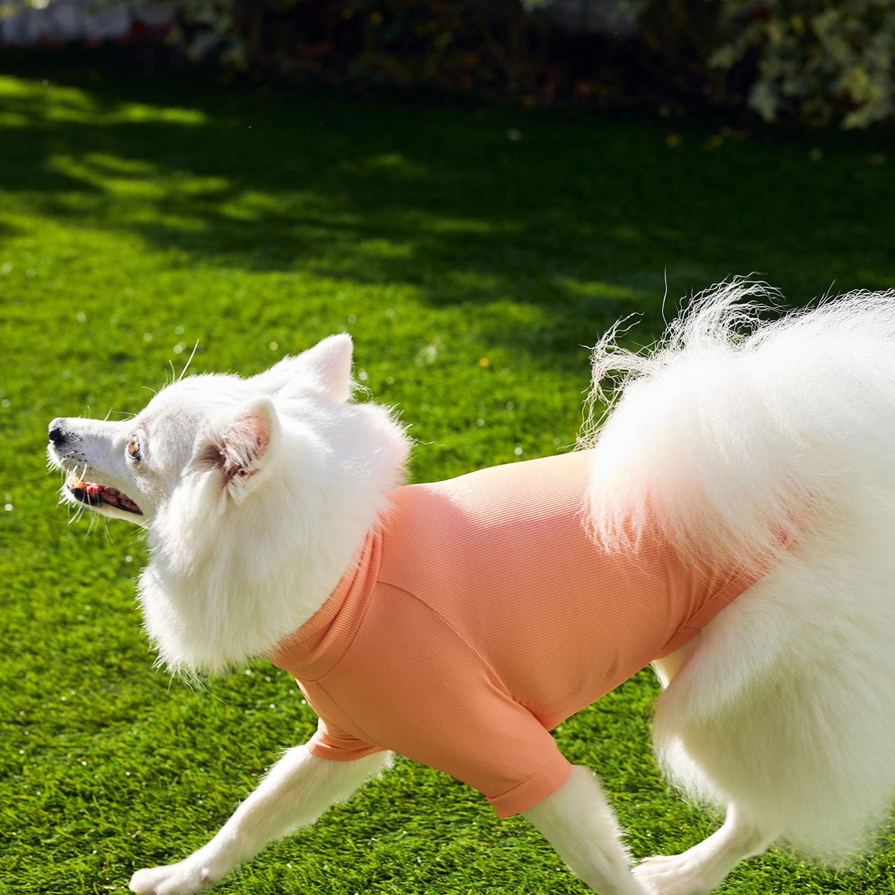 インセクトシールドスキンタイトクールTシャツ