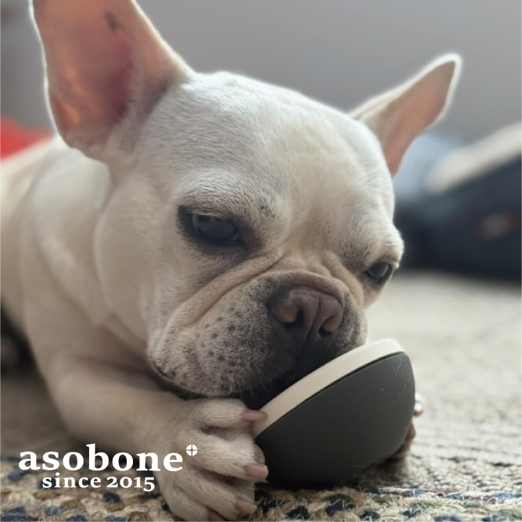 アソボーン カラーは: さくら, キャップの硬さ: ソフト