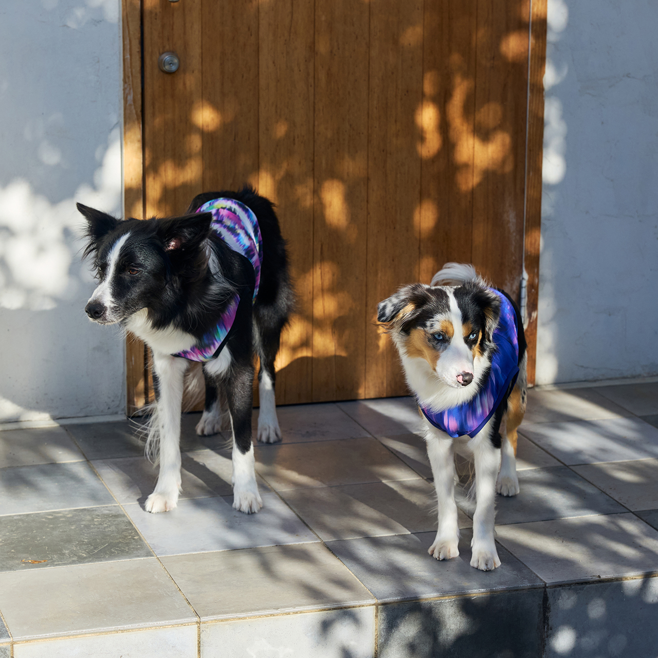 クールオーロラタンク