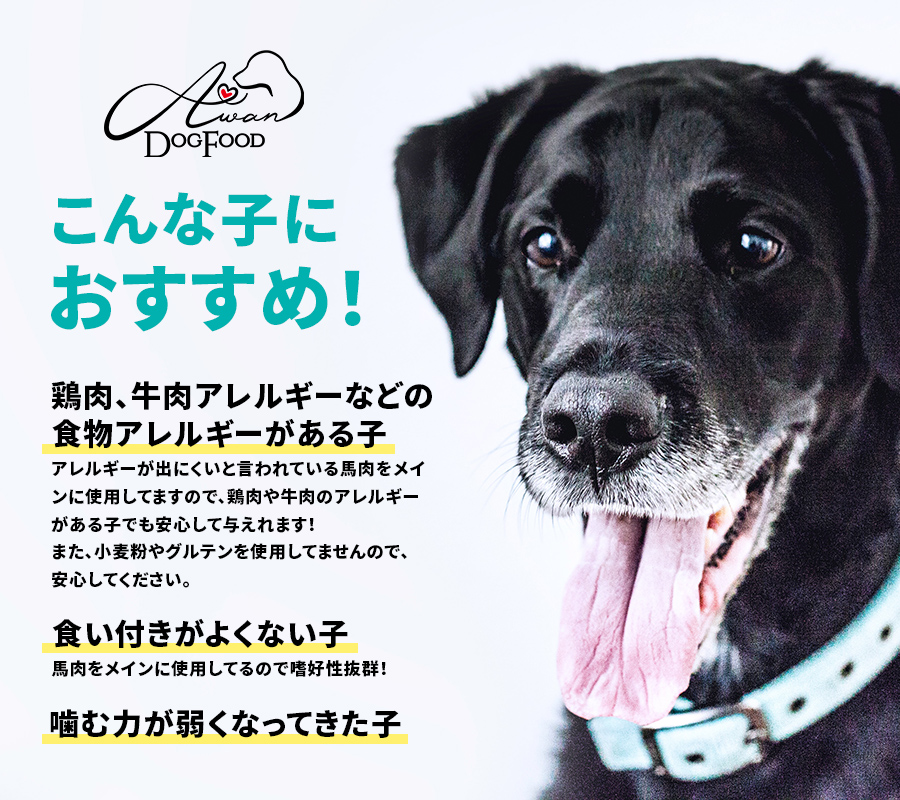 【漢方】鹿肉ドッグフード300ｇ　※賞味期限間近