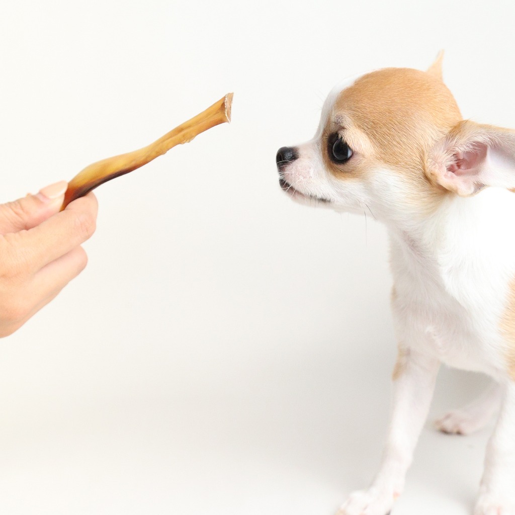 【先着5セット限定！】＼馬のアキレスショート1kg×3セット／初売りSALE特別価格