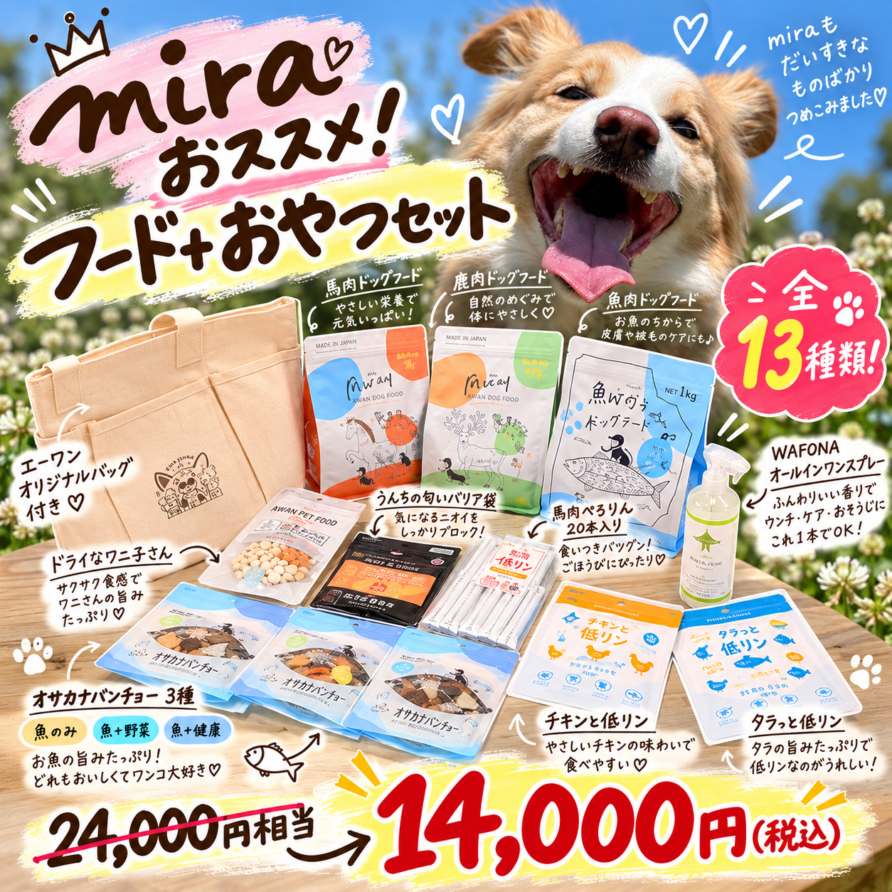 ミラおススメフード+おやつセット14,000円