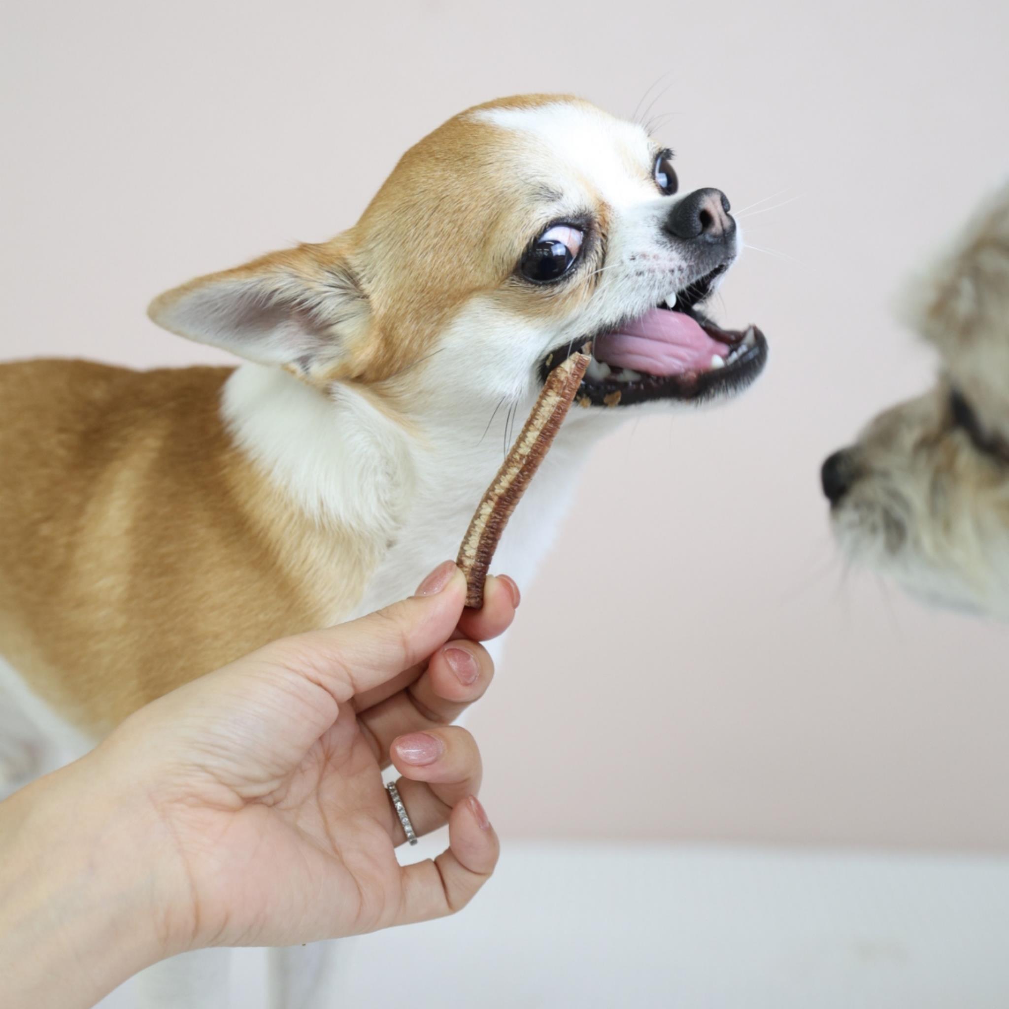 【大容量】カモの気管かも 200ｇ