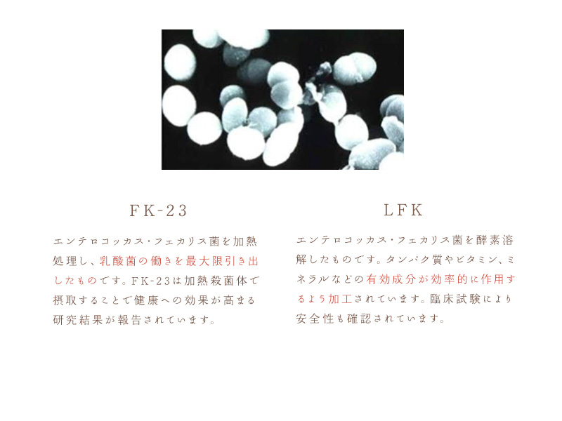 【漢方】馬肉ドッグフード800ｇ