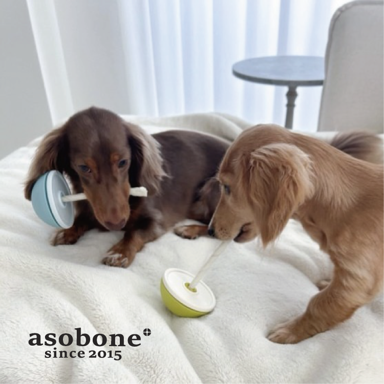 アソボーン カラーは: さくら, キャップの硬さ: ソフト