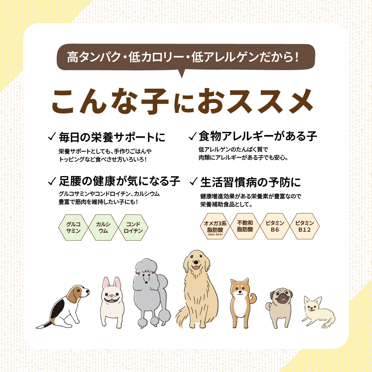 【100ｇ入り】ドライなワニ子さん