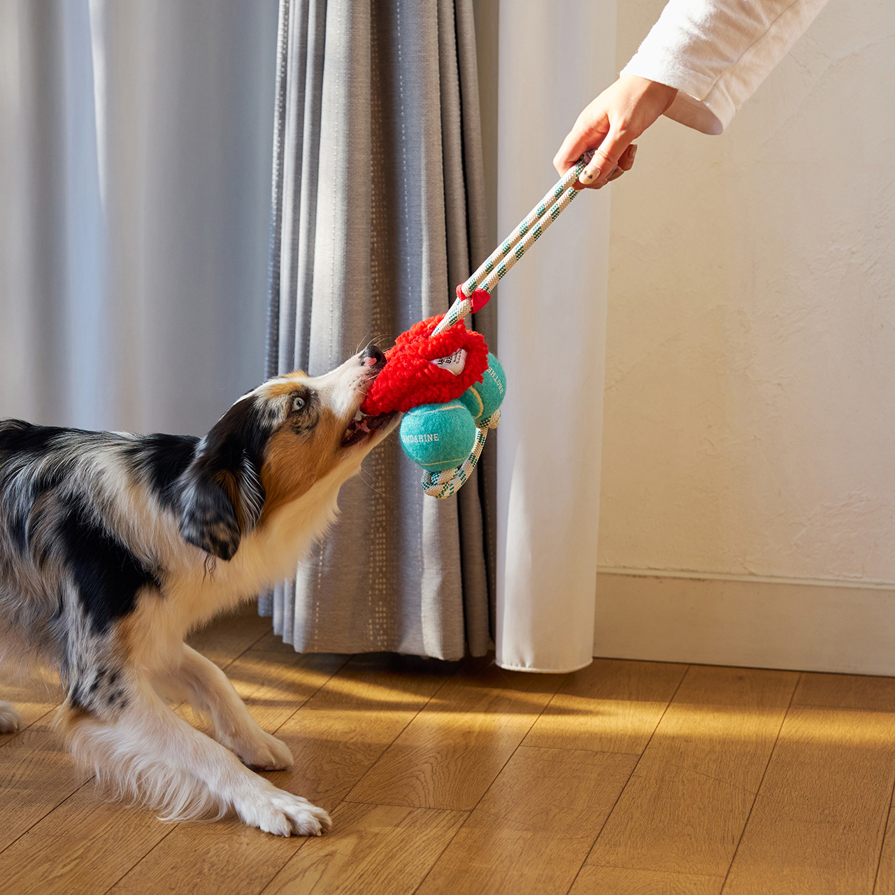 パリパリブースター カラー: RED（レッド）