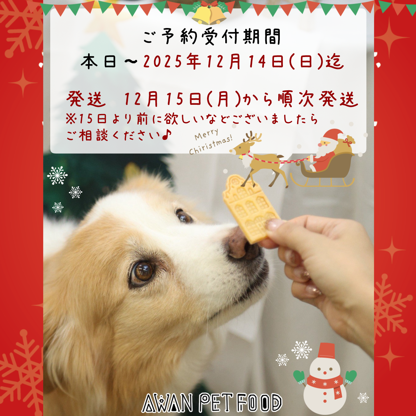 クリスマスクッキー2025　タイプA