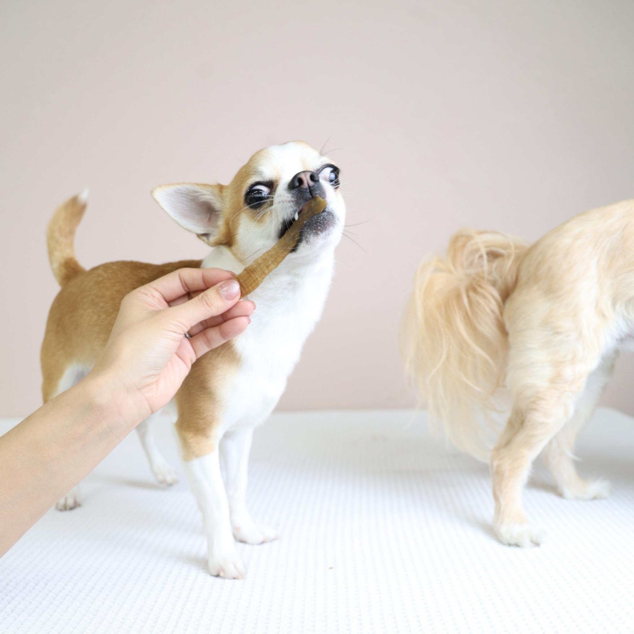 【大容量】カモの食道かも 500ｇ