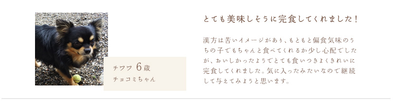 【漢方】馬肉ドッグフード800ｇ