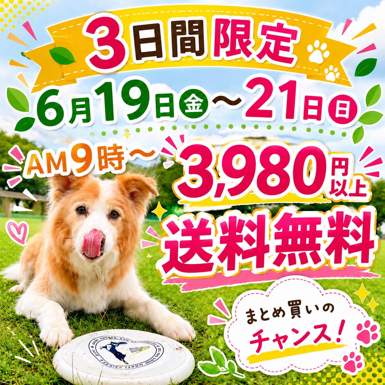 3980円送料無料