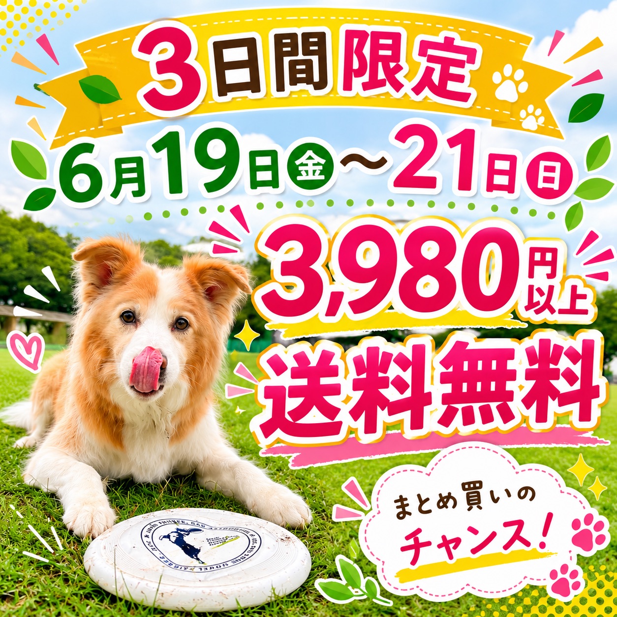3980円送料無料