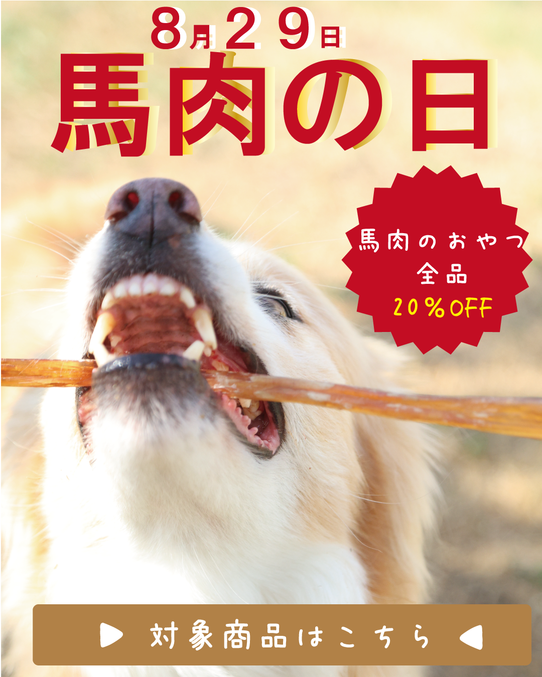 馬肉の日！