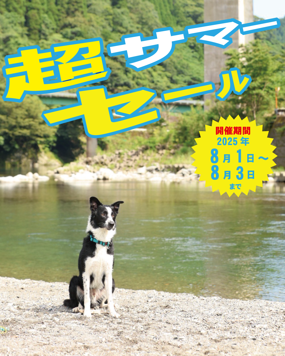 超サマーセール